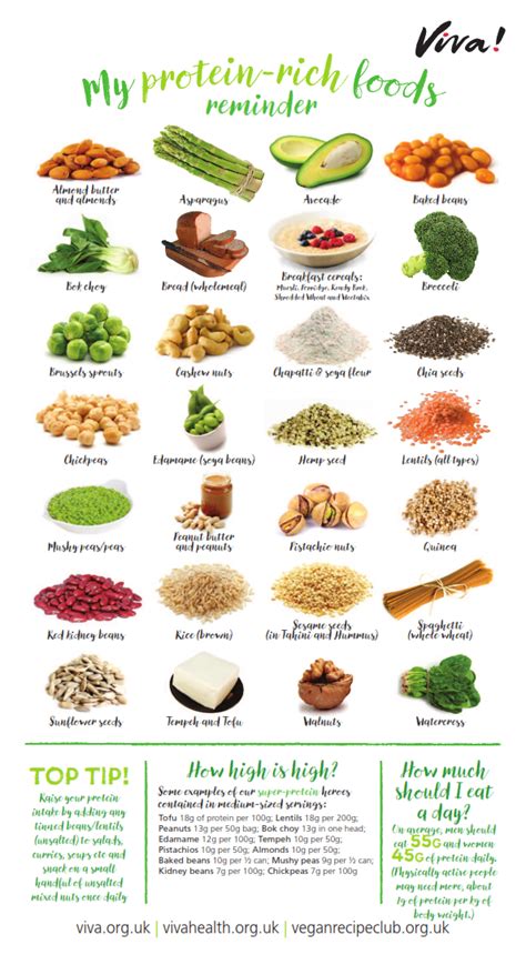 Protein Nutritional Poster | Protein nutrition, Healthy recipes, Vegan nutrition