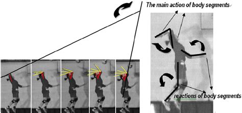 The definition of range of motion on Figure 3: The main action and ...