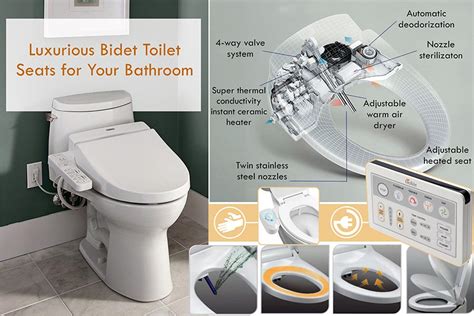 5 Best Bidet Toilet Seats Reviews of 2023 - BestAdvisor.com