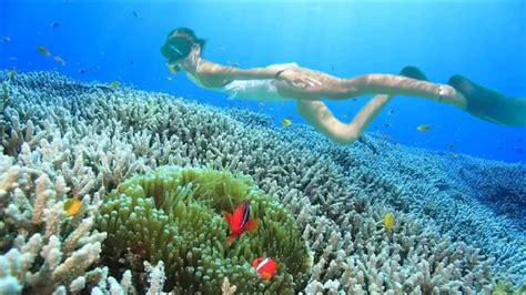 SNORKELING IN MOALBOAL - YouTube