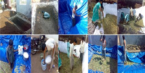 Silage Preparation by KVK Baramati from Dairy Farm Guide