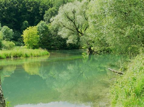 natürliche Flusslandschaft | am idyllischen Ufer der Brenz | Flickr