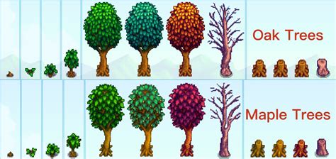 Maple Tree Stardew Valley: Your Guide to Growing and Tapping