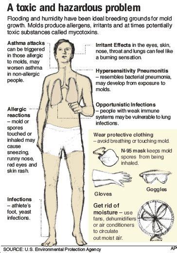 Many do not realize the serious impact Black Mold can have on the human body. Toxic Mold ...