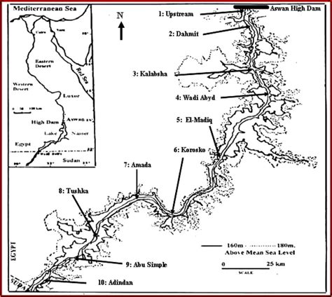 A map showing sampling sites of Lake Nasser (General location of Lake ...