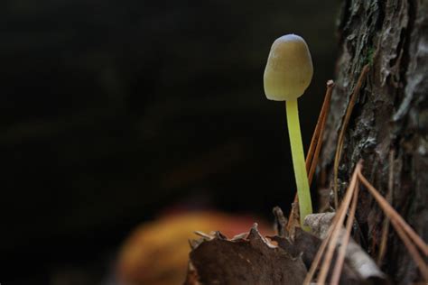 nature walk: kearney lake trails, nova scotia - Imagine Childhood : Magic & Memories That Last a ...