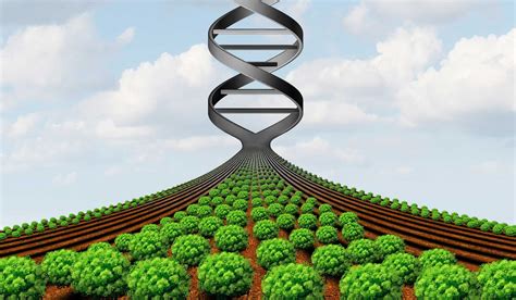 Researchers explore new approach to add crop diversity | AGDAILY