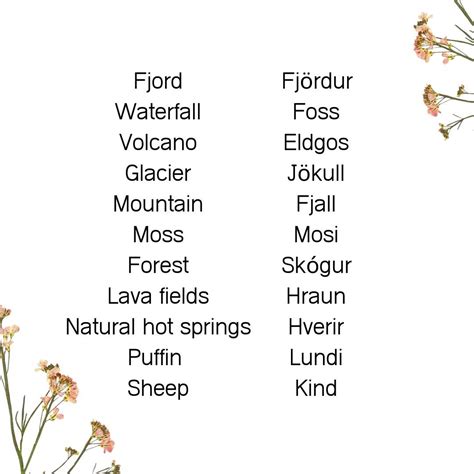 Visiting Iceland? These are the 11 Icelandic words I wish I’d known ...