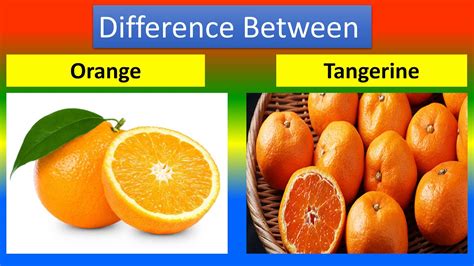 Difference Between Orange and Tangerine - YouTube