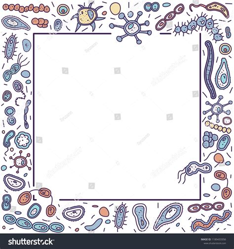 Square Frame Different Bacteria Cells Microorganism Stock Vector (Royalty Free) 1189433356 ...