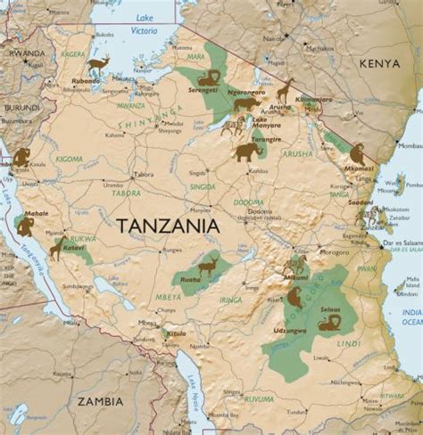 🇹🇿Tanzania Africa: All you need to know for your Tanzania holiday 🌿 in 2024 | Tanzania safari ...