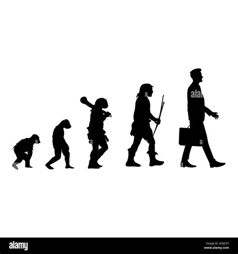 Clipart Evolution Of Man Timeline