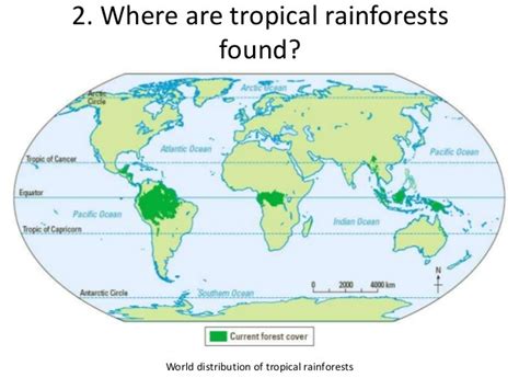 Tropical Rainforest Location World Map