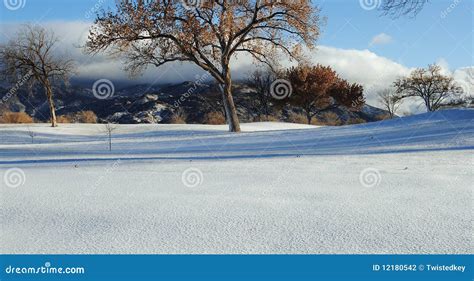 Sandia Mountains with Snow stock photo. Image of golf - 12180542