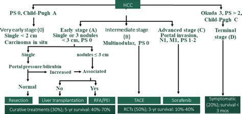 Figure 4, [Staging system for hepatocellular carcinoma...]. - Liver ...