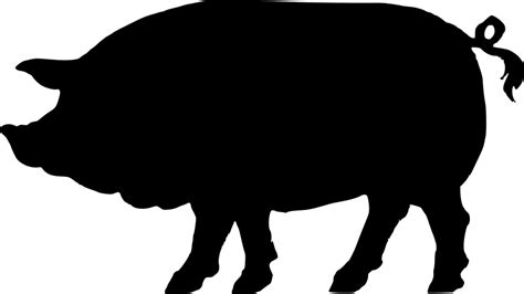 Pig Vector Free - Cliparts.co