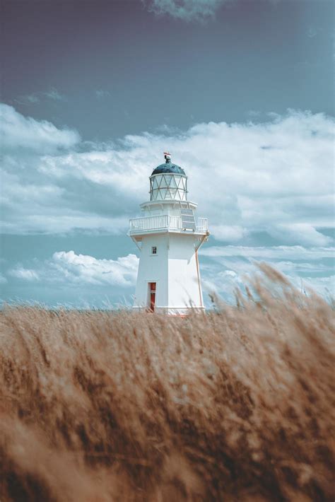 Lighthouse in New Zealand 4954791 Stock Photo at Vecteezy