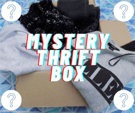 Mystery Thrift Box Clothing Bundle Personal Shopper Mystery | Etsy