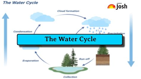 Water Cycle Stages