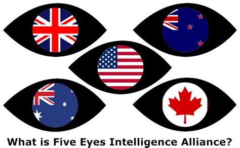 Five Eyes Surveillance Explained - Privacy Australia