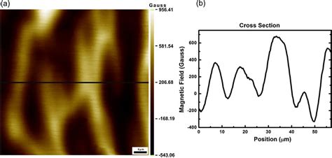 (a) Magnetic image of NdFeB demagnetized magnet by using GHP at 300 K.... | Download Scientific ...