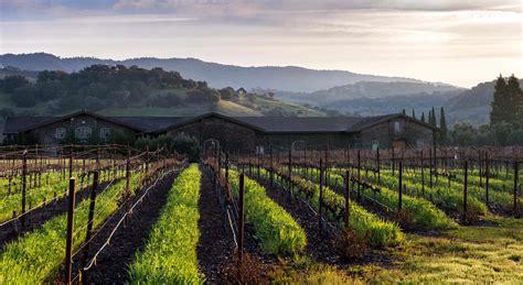 Sonoma Coast Wineries | Guide To The Best Wineries in Sonoma County