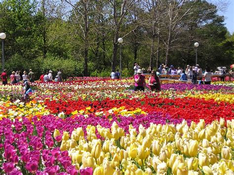 Dalat Flower Garden - Must see in Da Lat Highland, Da Lat Flower