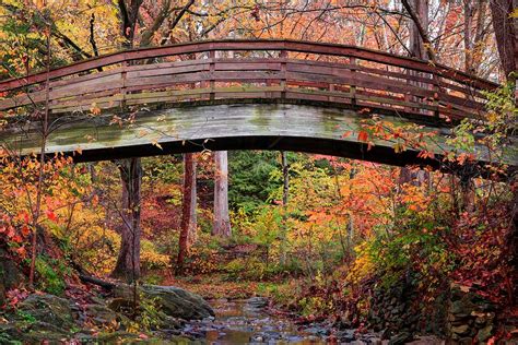 Botanical Gardens Arched Bridge Asheville During Fall Photograph by ...