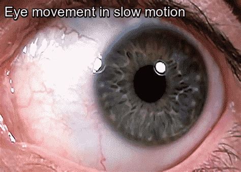 37 Everyday Things That Look Insane in Slow Motion | Motion, Eyes, Cool gifs