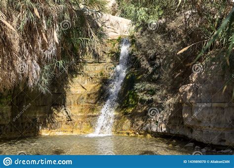 Waterfall Flows into the Clear Lake Stock Photo - Image of greenery ...