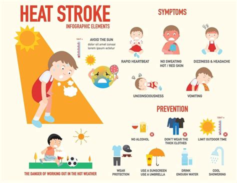 Heat stroke risk sign and symptom and prevention infographic 3240040 Vector Art at Vecteezy