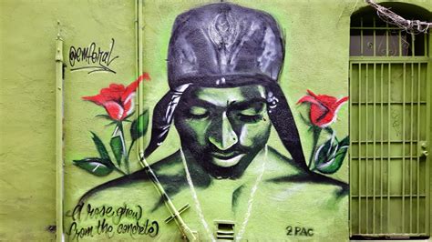 Free Images : flower, portrait, green, spray, color, graffiti, artwork, street art, flowers ...