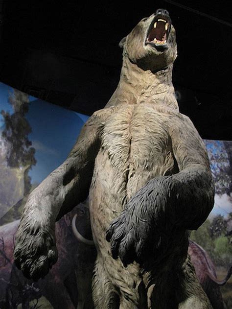Prehistoric Predators Short Faced Bear