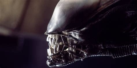 'Alien' Review - I'm Both Fascinated and Horrified by Ridley Scott's ...