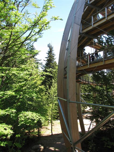 Treasures of the Bavarian forest: the longest tree top walk in the ...