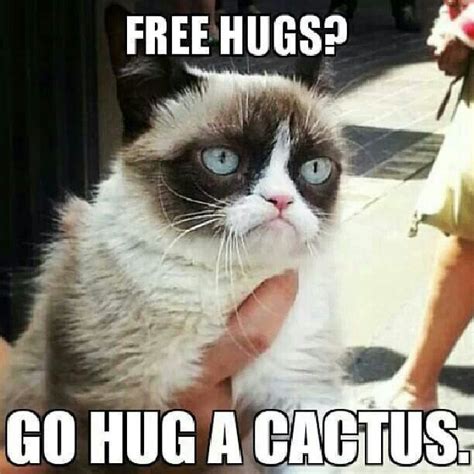 To my "loving" family. This one's for you. | Funny grumpy cat memes, Grumpy cat humor, Cat memes