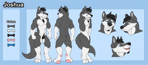 My ref sheet for my wolf fursona, Joshua (also rl name), made by RustyWolf on FA : furry