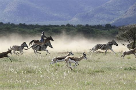 Horseback safari in South Africa. Been there, done that. :-D | Africa ...