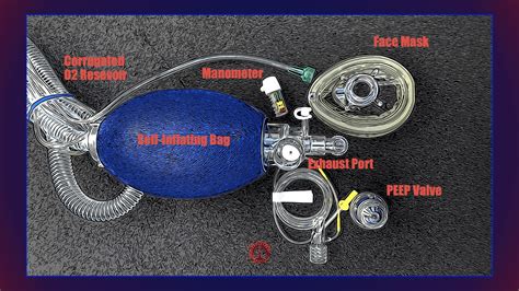 Anatomy of the Bag Valve Mask