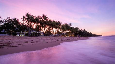 Palm Cove Beach in Palm Cove | Expedia.co.uk