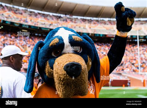 April 21, 2018: Tennessee Volunteers mascot smokey during the the ...