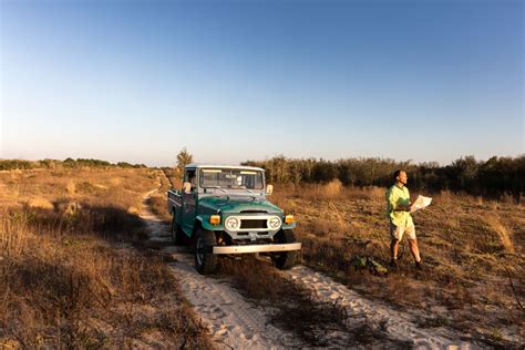 Vet Examines Abnormally Large Lion on Savanna, Quickly Calls Cops to ...