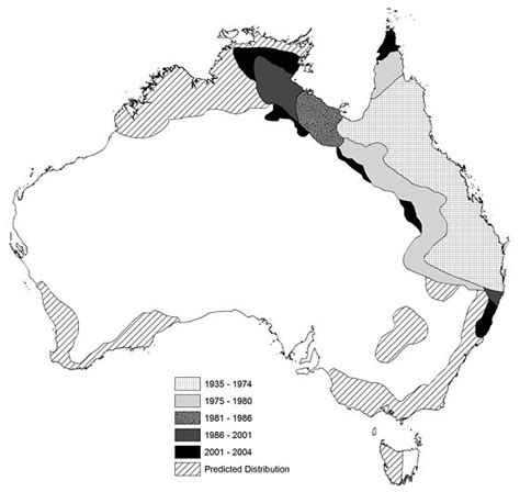 Toadally Awesome Toad Facts: The spread of cane toads in Australia