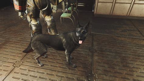 Dogmeat Simple Recolor at Fallout 4 Nexus - Mods and community