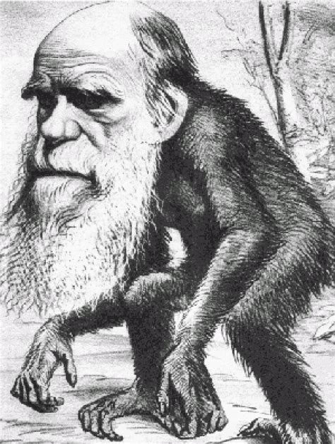 Top Ten Scientific Facts : Evolution is False and Impossible – The Conservative Papers