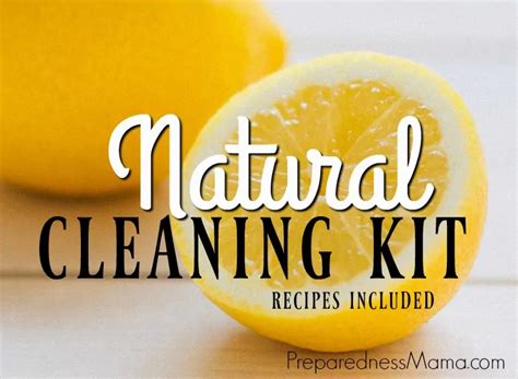 Make a DIY Natural Cleaning Kit - PreparednessMama