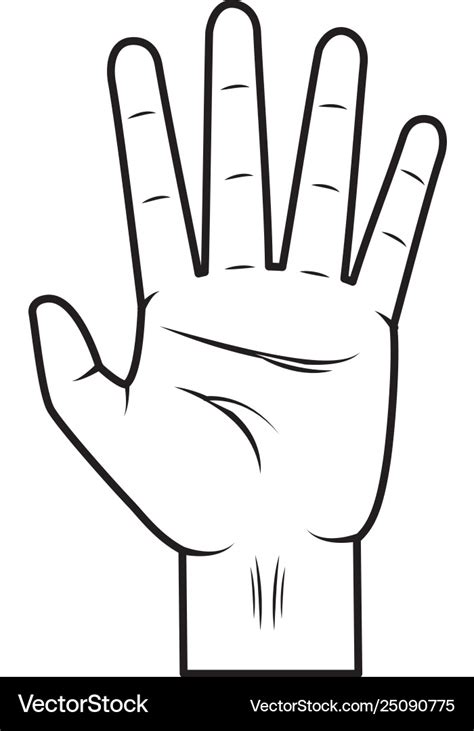 Hand showing five fingers Royalty Free Vector Image