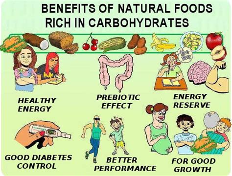 Carbohydrates And Their Function In Our Body