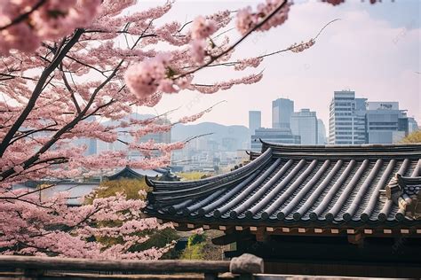 Korea S Seoul Tourist Spot Pajeon Gate Background, Architecture ...