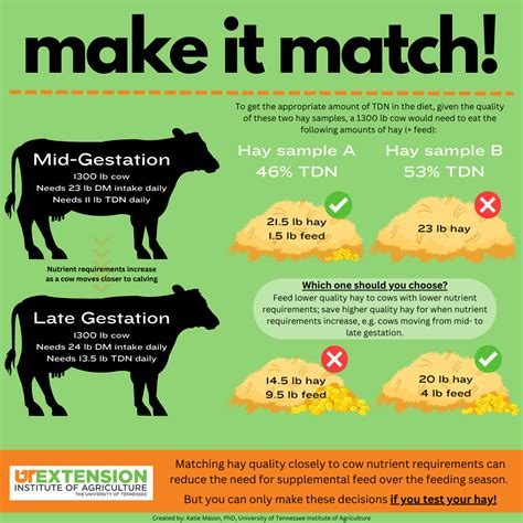 Cattle Nutrition: Thinking Ahead: Why Hay Testing is Important | UT Beef & Forage Center